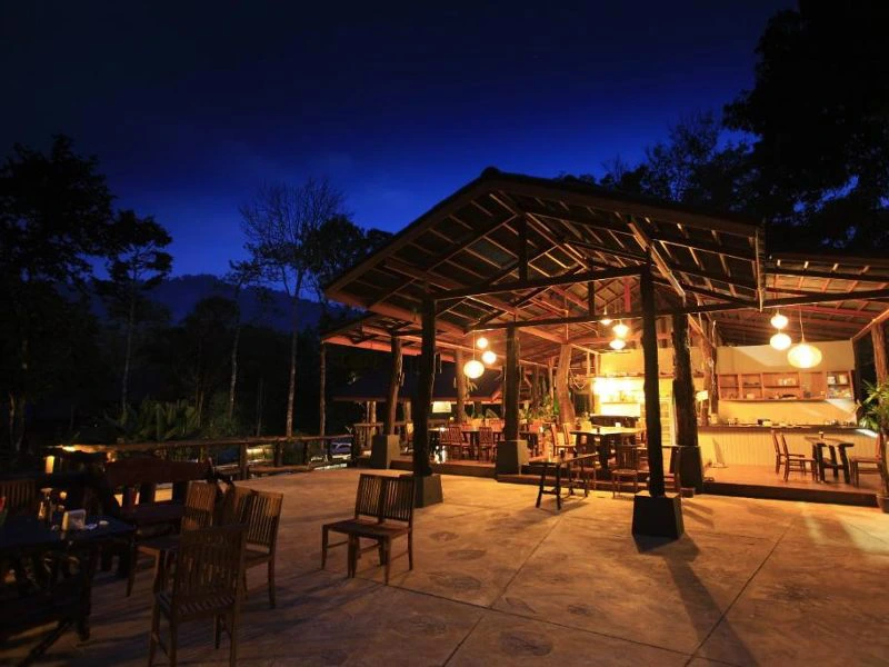 riksja-thailand-khao-sok-expeditie-jungle