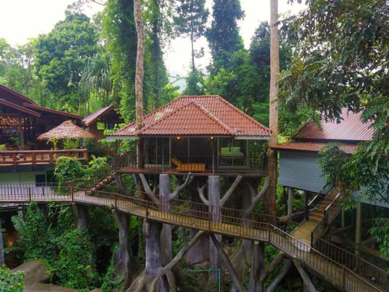 riksja-thailand-khao-sok-expeditie-jungle