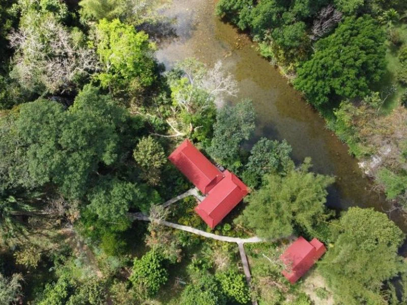 bungalow resort hotel khao sok thailand jungle