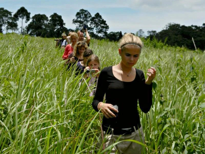hike jungle thailand kinderen natuur