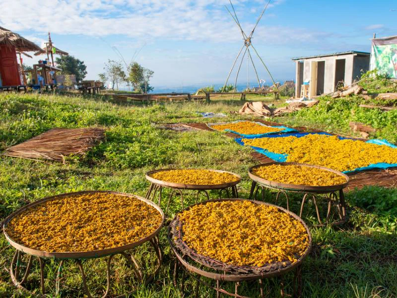 gouden driehoek thailand eten