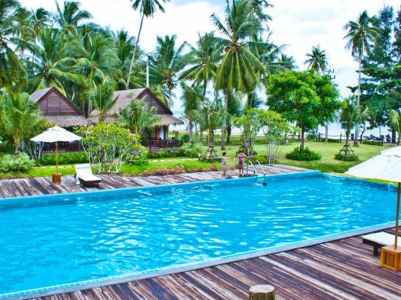 zwembad palmbomen hotel resort thailand