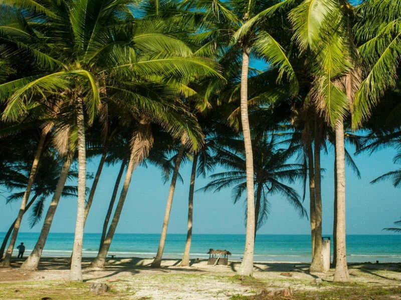 palmbomen strand zee thailand
