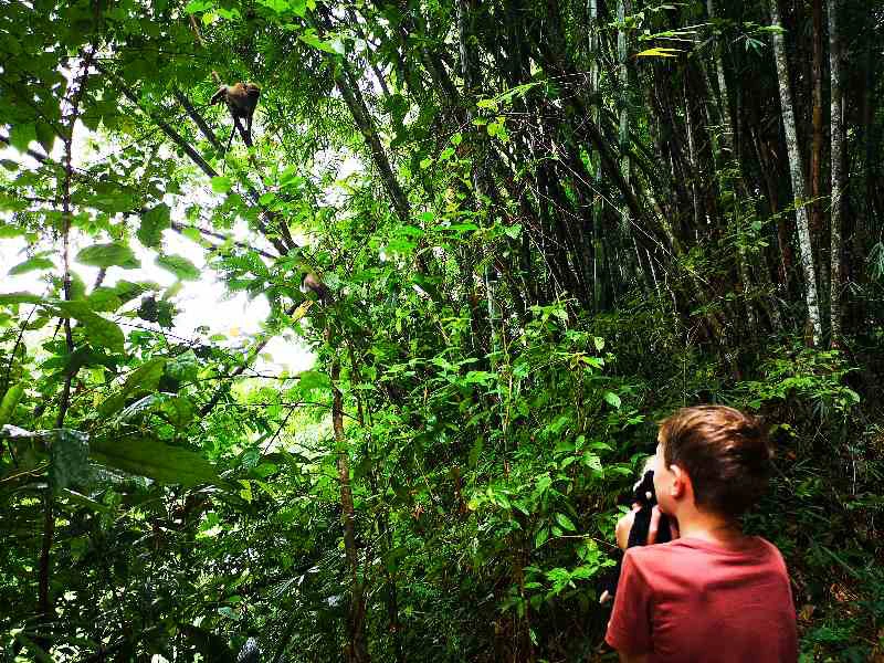 khao sok national park