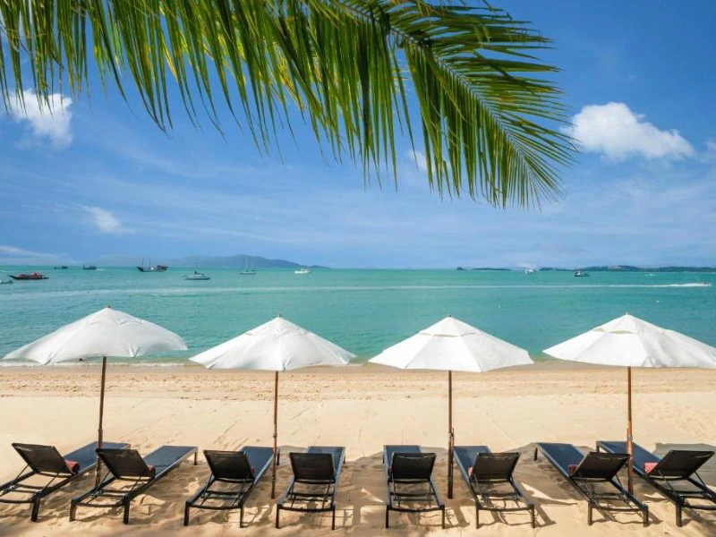 strandbedjes strand zee parasols palmboom thailand koh samui