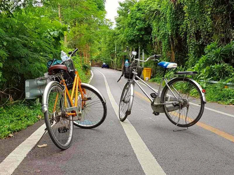 Twee fietsen op een geasfalteerd fietspad omringd door weelderig groen en bomen.