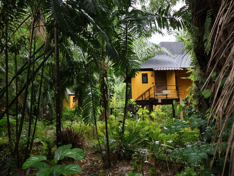 Thailand Khao Sok