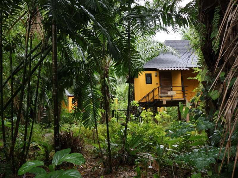 Thailand Community lodge Khao Sok National Park