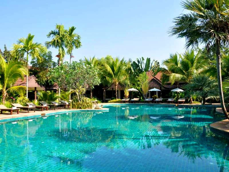 Helderblauw zwembad met ligstoelen rondom, omringd door palmbomen en tropische beplanting, met bungalows en parasols op de achtergrond.