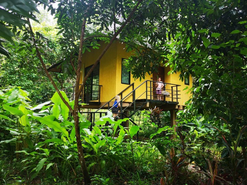 Geel verhoogd huisje, een soort boomhut, midden in de jungle van Thailand. Een meisje loopt met de trap omhoog en een jongen staat al voor de deur bovenaan het huisje. Een uniek verblijf in de jungle.