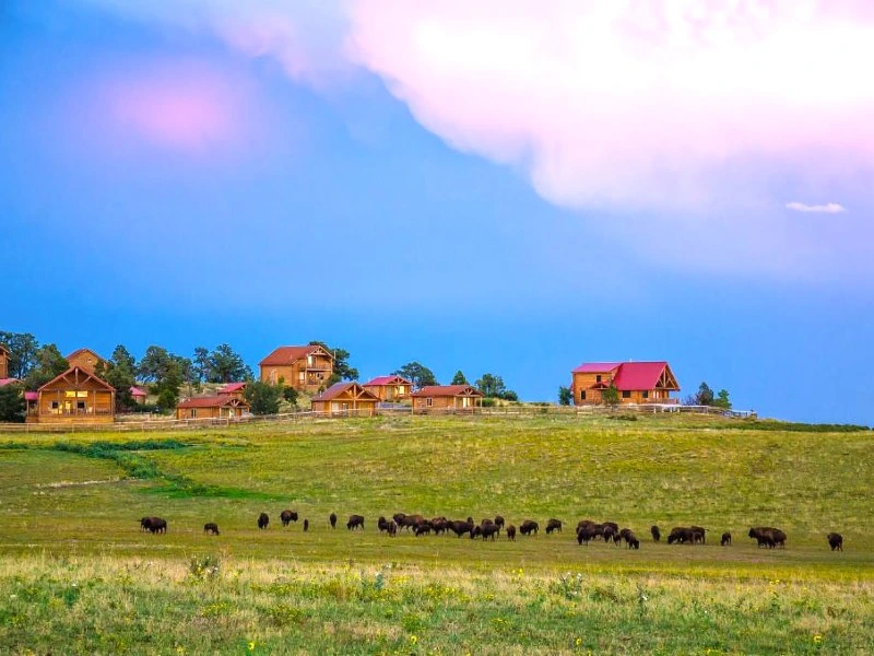 Bizons Ranch Zion