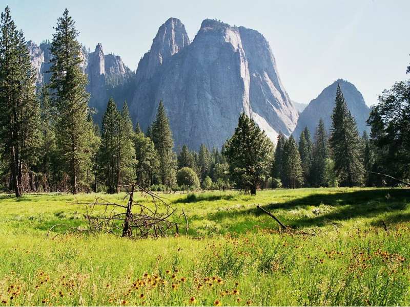 Omgeving Yosemite
