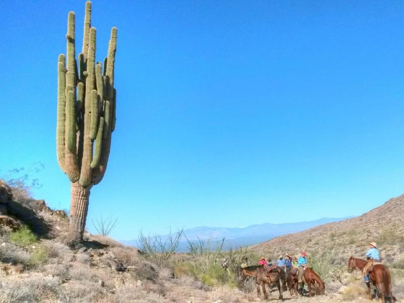 Arizona ranch