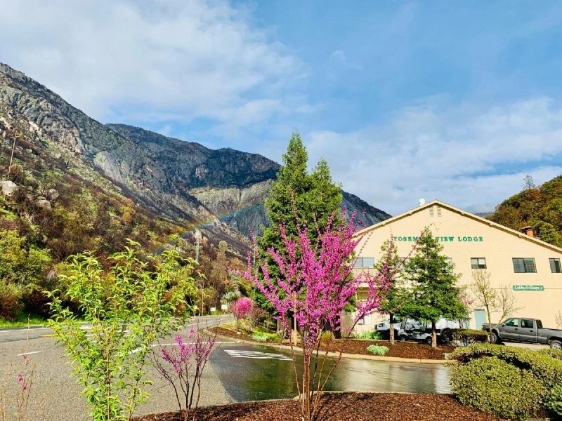 yosemite lodge slapen