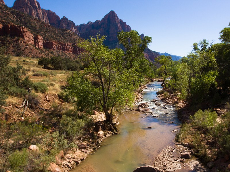 Zion national park