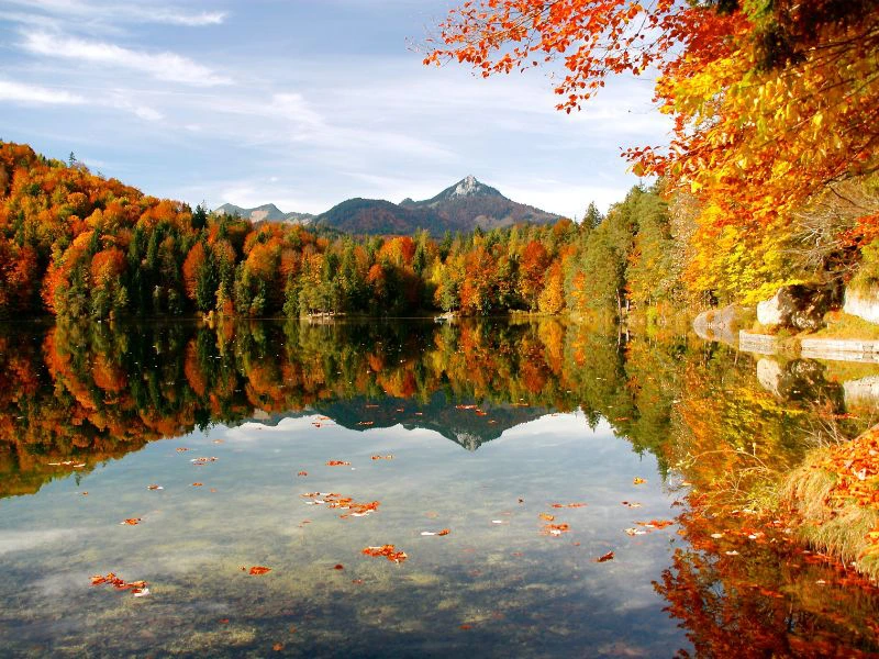 canada herfst rivier