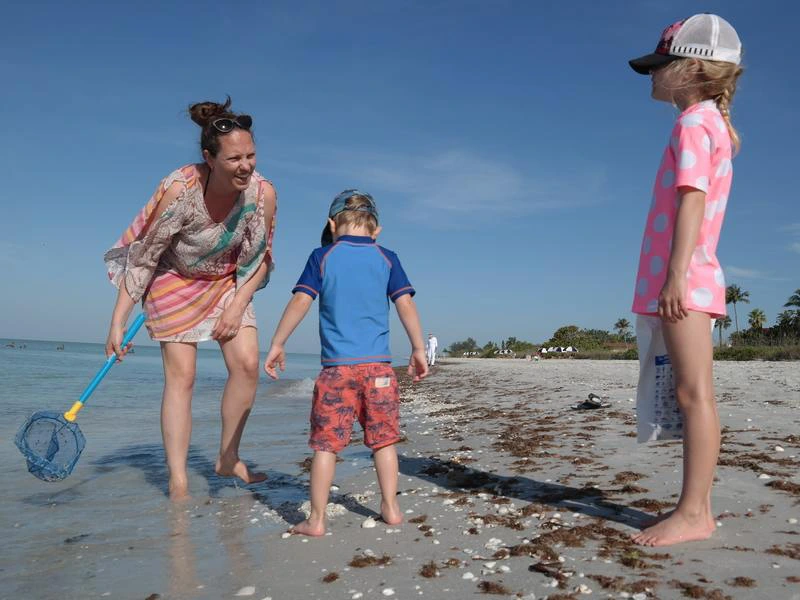 Florida strand Sanibel Island