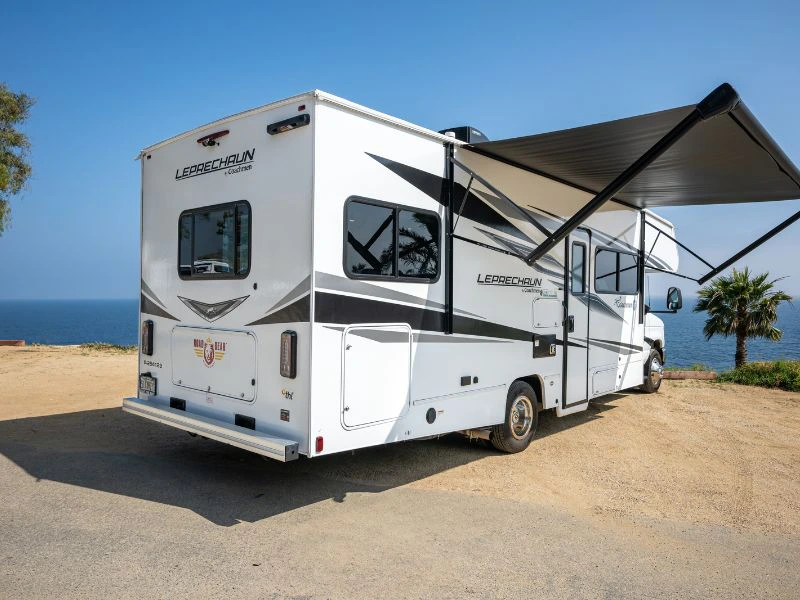 Camper Road Bear