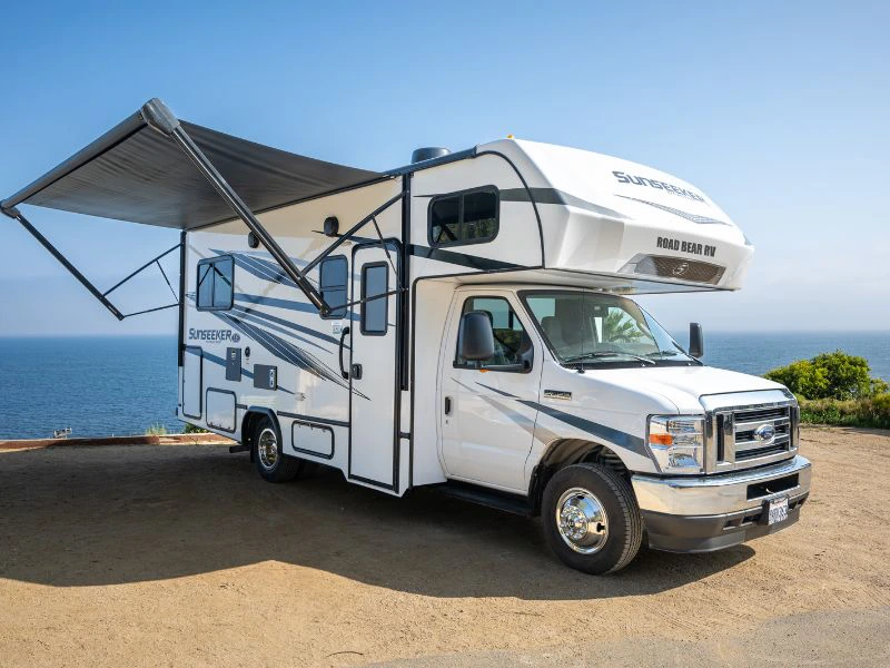 Camper Road Bear