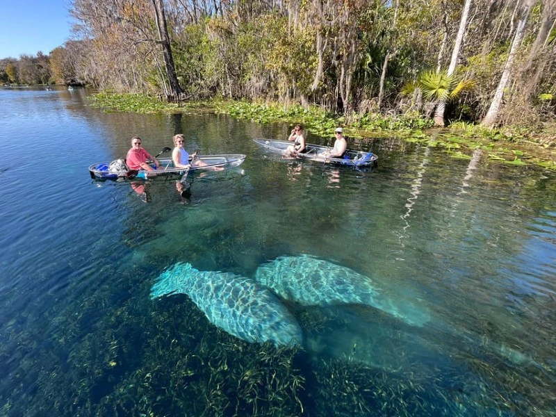 Silver Springs kajak