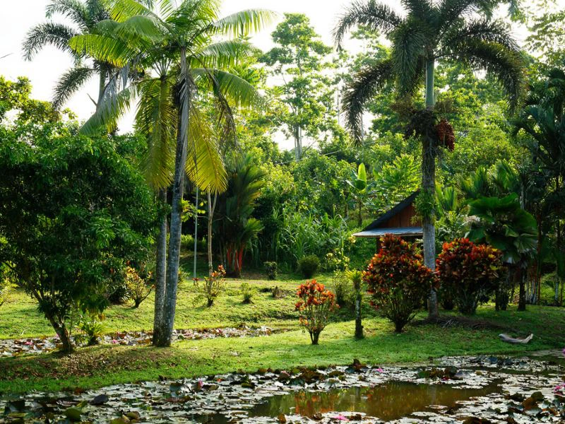 Sarapiqui finca