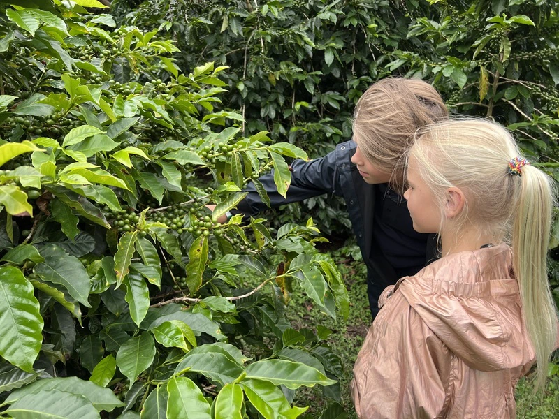 koffieplantage kinderen