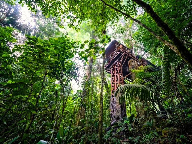 Costa Rica Boca Tapada boomhut
