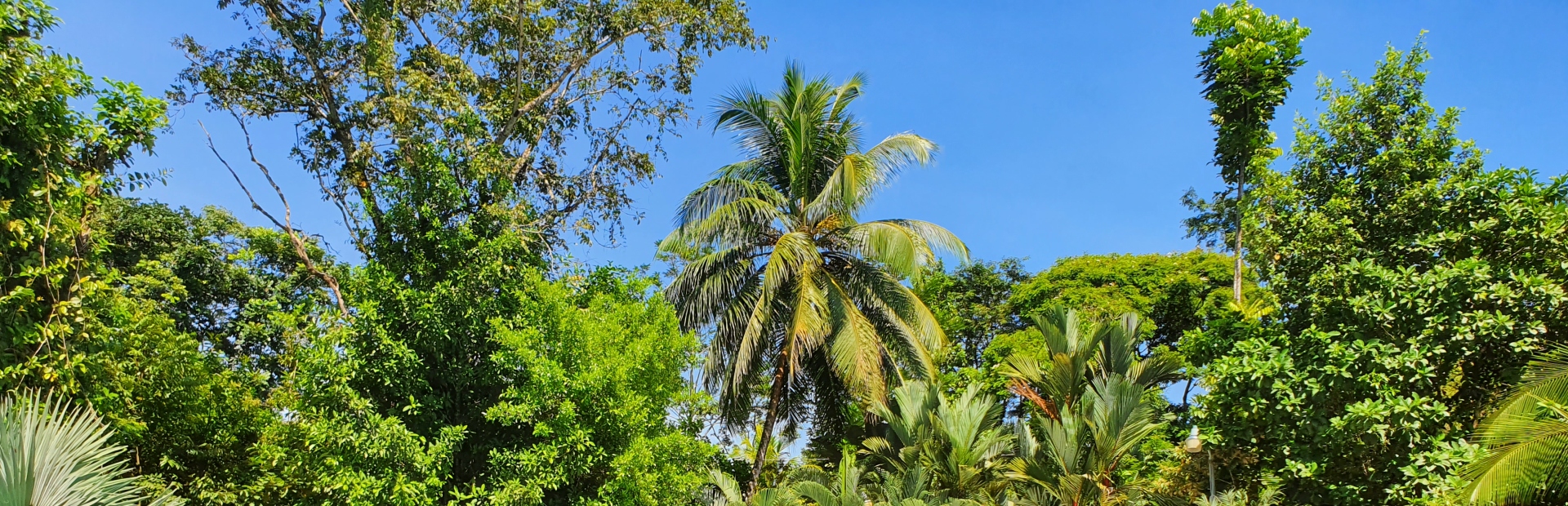 Monteverde