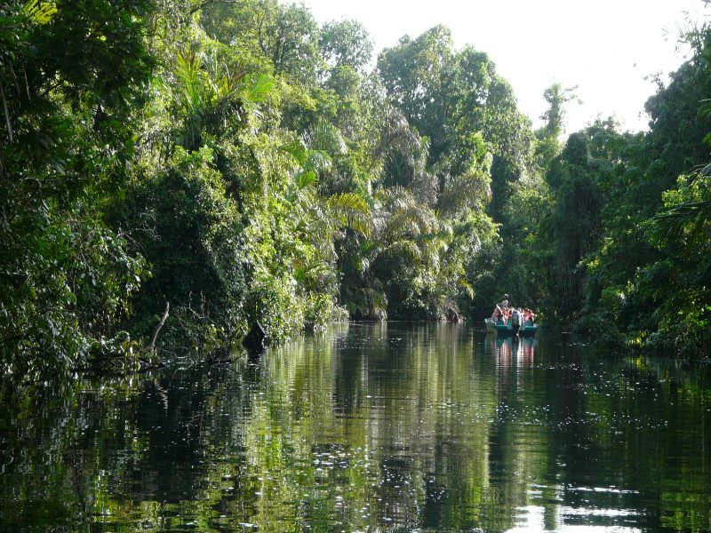 Boot tocht door jungle Tortuguero in Costa Rica