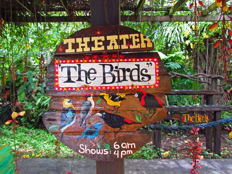 Costa Rica Sarapiqui