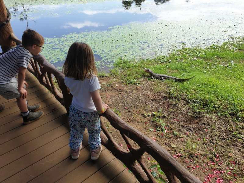 Costa Rica - Boca Tapade