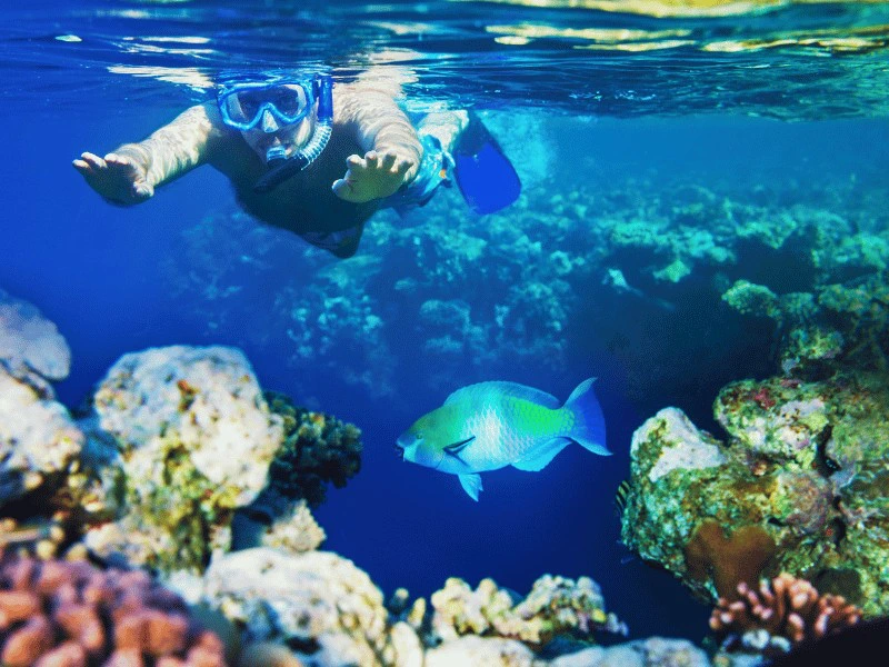 Manuel Antonio snorkelexcursie