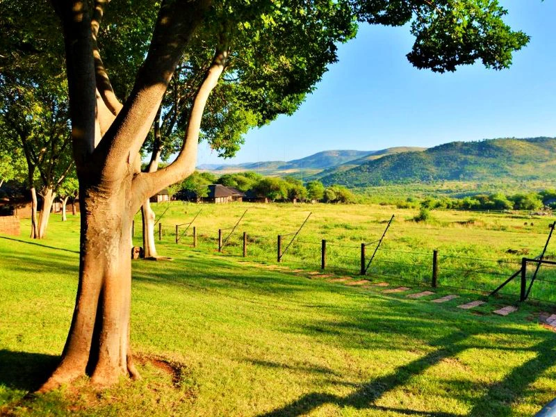 Hotel Pilanesberg Zuid-Afrika
