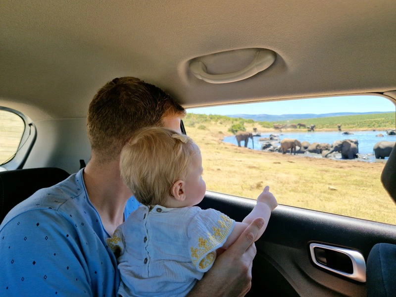 Zuid Afrika Addo jeep safari