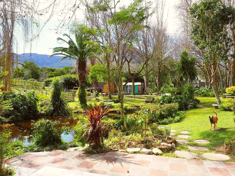 South Africa - Houtbaai - Garden