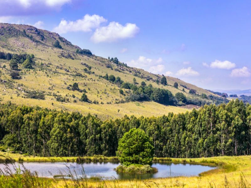 Zuid-Afrika-Overnachten in Dullstroom