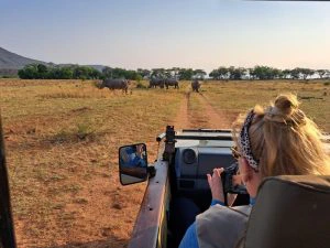 Safari gamedrive Zuid Afrika
