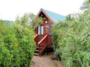 addo-camps-zuid-afrika-cabin