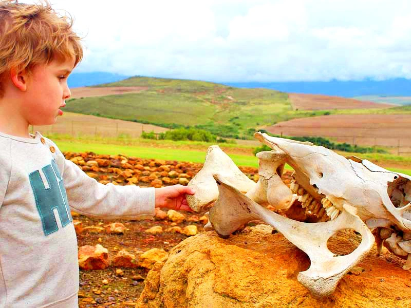 Hotel Heidelberg Zuid-Afrika