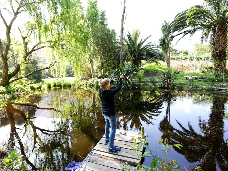 Hotel Houtbaai in Zuid-Afrika