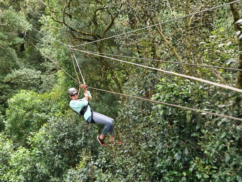 Iemand hangt aan een zipline tussen allemaal bomen en struiken met een helm op en een lichtblauw shirt en grijze broek.