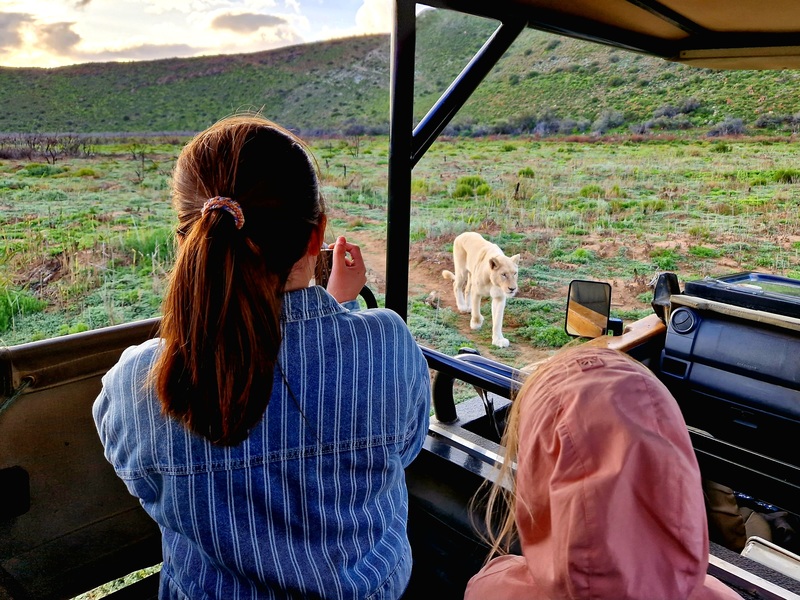 Hard Rock Hotel Marbella