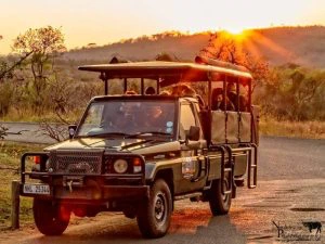 Safari in St. Lucia