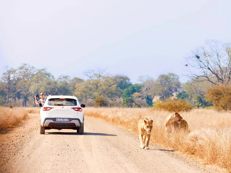 Selfdrive in Pilanesberg - Zuid-Afrika