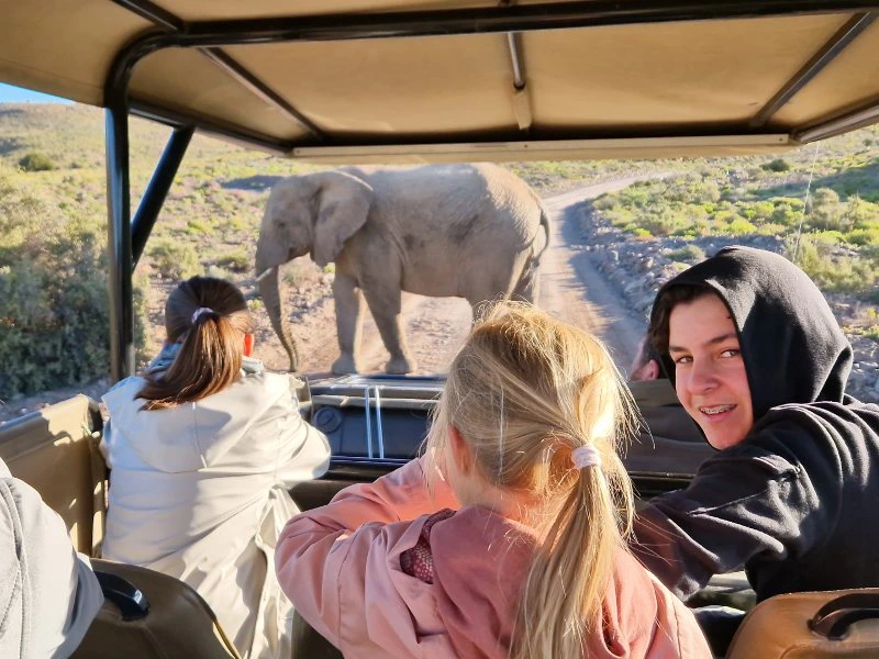 zuid-afrika-met-kinderen-jeepsafari-met-kids