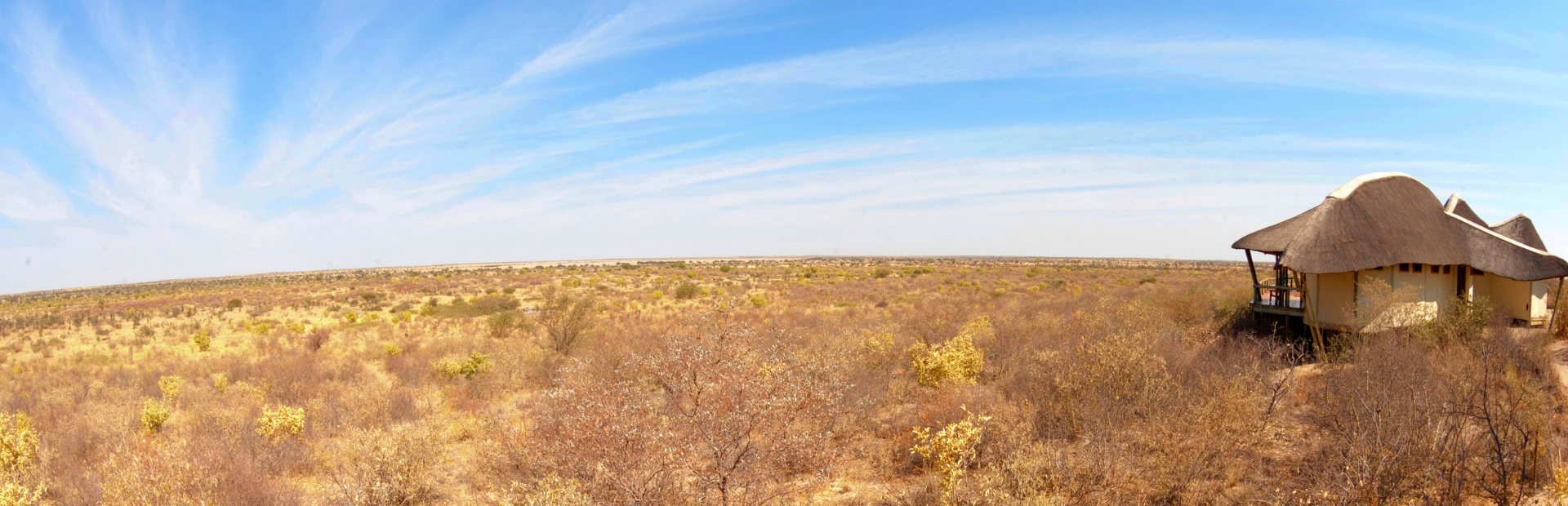 safari kamp met kinderen in Zuid-Afrika