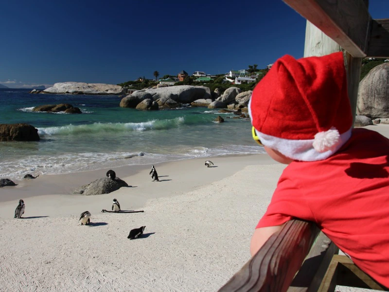 Zuid-Afrika met kinderen tijdens kerstvakantie