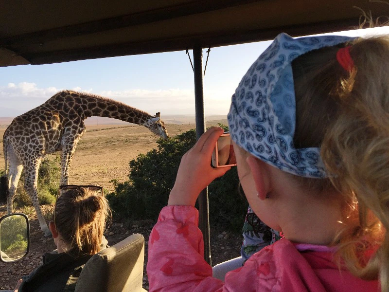 Zuid-Afrika safari