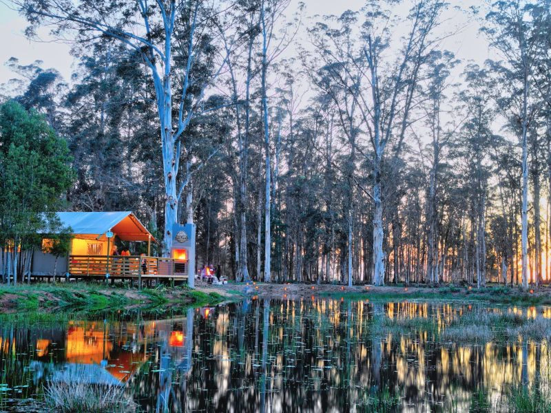 Glampingtent Zuid-Afrika