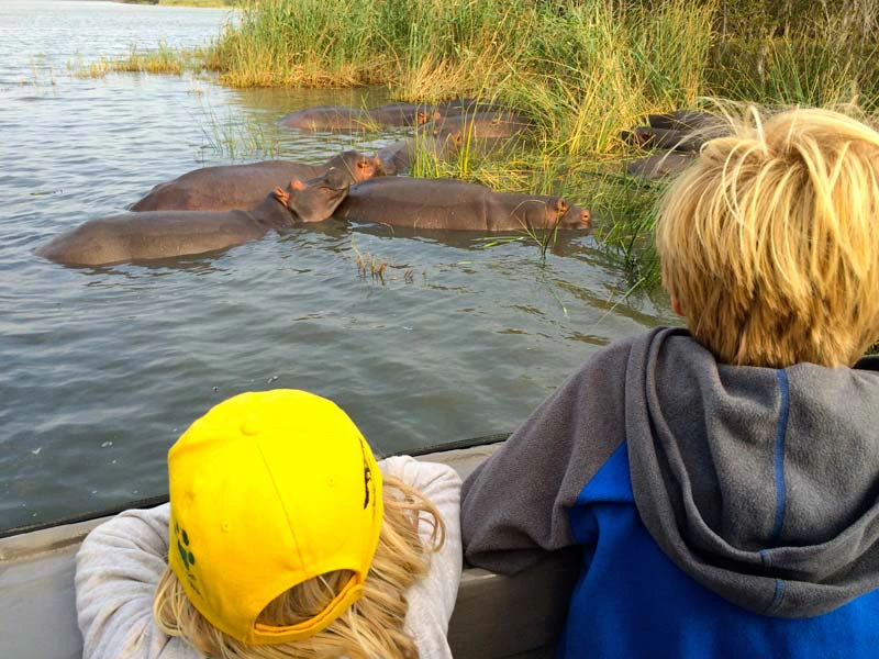 Meisje met gele pet op en jongen met blond haar en een vest aan hangen over de rand van een boot om te kijken naar drie nijlpaarden in de rivier bij het gras aan de rand.